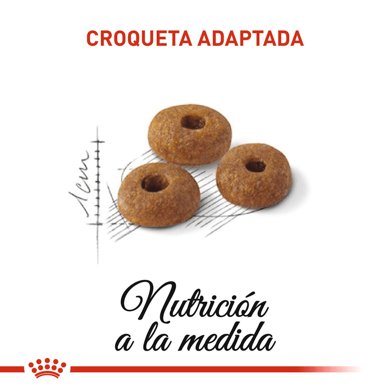 croqueta