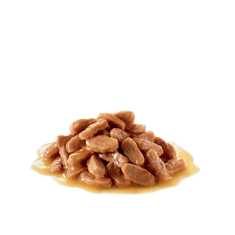 Textura-del-alimento-humedo-en-lata-Spayed-Neutered-para-gatos-esterilizados