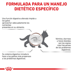 Formula-especifica-con-Gastrointestinal-Kitten-para-gatitos-con-problemas-digestivos