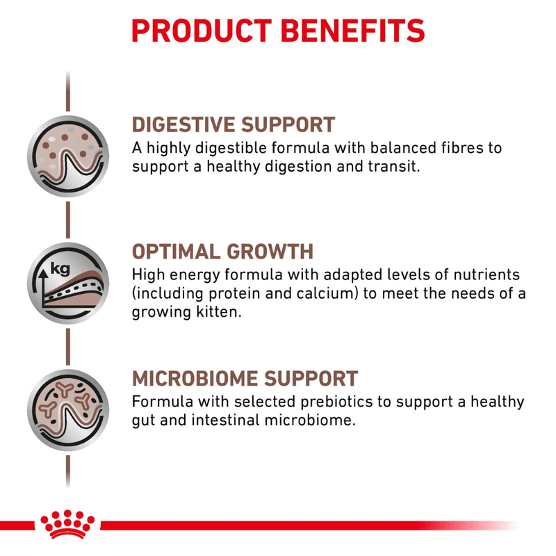 Beneficios-del-alimento-Gastrointestinal-Kitten-para-gatitos-con-problemas-digestivos
