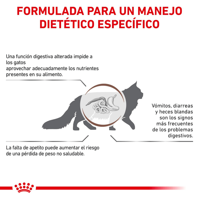 Formula-especifica-con-Gastrointestinal-para-gatos-adultos-con-problemas-digestivos