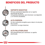 Beneficios-del-alimento-Gastrointestinal-para-gatos-adultos-con-problemas-digestivos