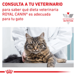 Consulta-a-tu-veterinario-antes-de-usar-el-alimento-Gastrointestinal-para-gatos-adultos-con-problemas-digestivos