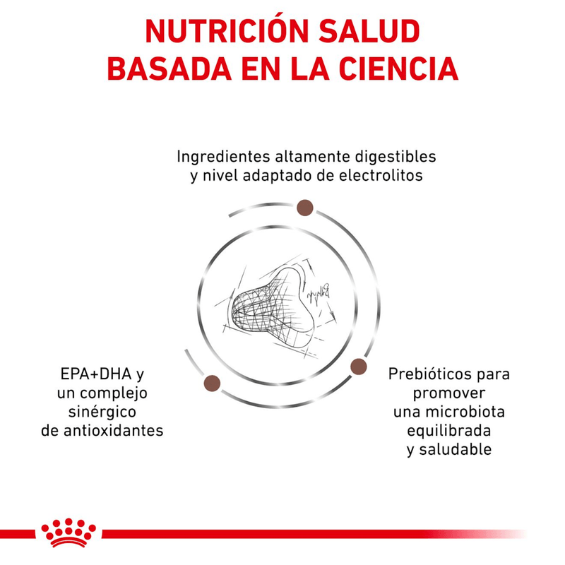 ciencia