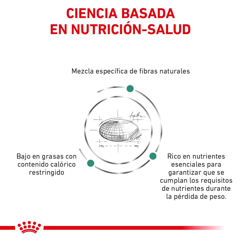 ciencia