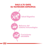 Alimentacion-con-nutricion-a-la-medida-con-Kitten-para-gatitos