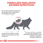 Formula-especifica-con-Renal-Special-para-gatos-con-problemas-renales