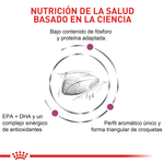 Nutricion-basada-en-la-ciencia-con-Renal-Special-para-gatos-con-problemas-renales