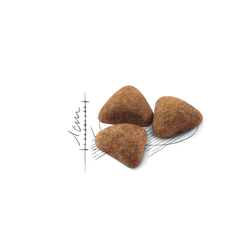 Croquetas-del-alimento-Indoor-27-para-gatos-adultos