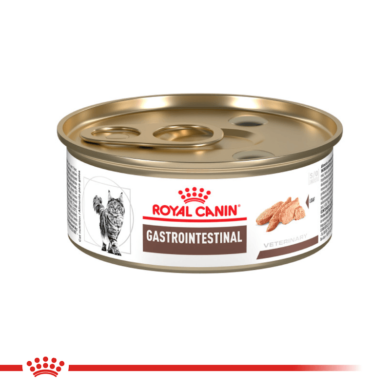 Packshot-del-alimento-humedo-en-lata-Gastrointestinal-High-Energy-para-gatos-con-problemas-digestivos
