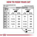 Tabla-de-racion-recomendada-del-alimento-humedo-en-lata-Urinary-para-gatos-con-problemas-urinarios