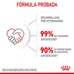 Formula-probada-del-alimento-humedo-en-lata-Mother-y-Baby-Cat-para-gatos-en-etapa-de-gestacion-o-lactancia-y-gatitos