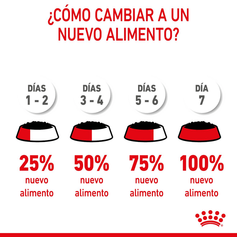 Transicion-al-alimento-humedo-en-lata-Mother-y-Baby-Cat-para-gatos-en-etapa-de-gestacion-o-lactancia-y-gatitos