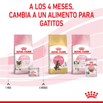 Producto-en-lata-adaptado-a-las-necesidades-de-Mother-y-Baby-Cat-para-gatos-en-etapa-de-gestacion-o-lactancia-y-gatitos