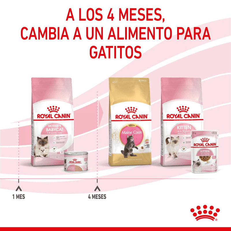 Producto-en-lata-adaptado-a-las-necesidades-de-Mother-y-Baby-Cat-para-gatos-en-etapa-de-gestacion-o-lactancia-y-gatitos
