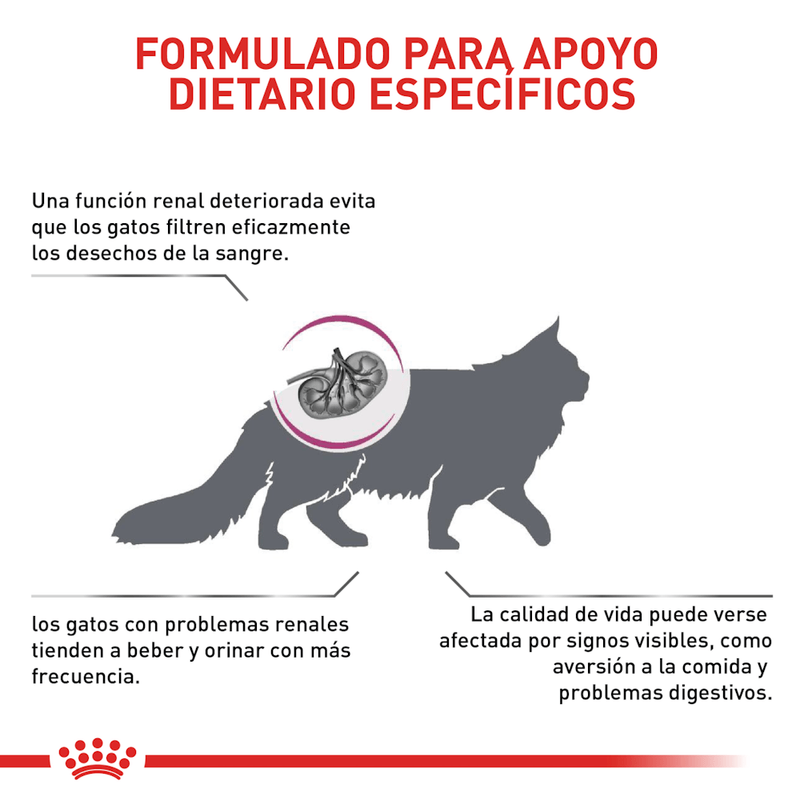 Formula-especifica-con-Renal-Special-para-gatos-con-problemas-renales