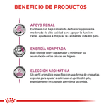 Beneficios-del-alimento-Renal-Special-para-gatos-con-problemas-renales
