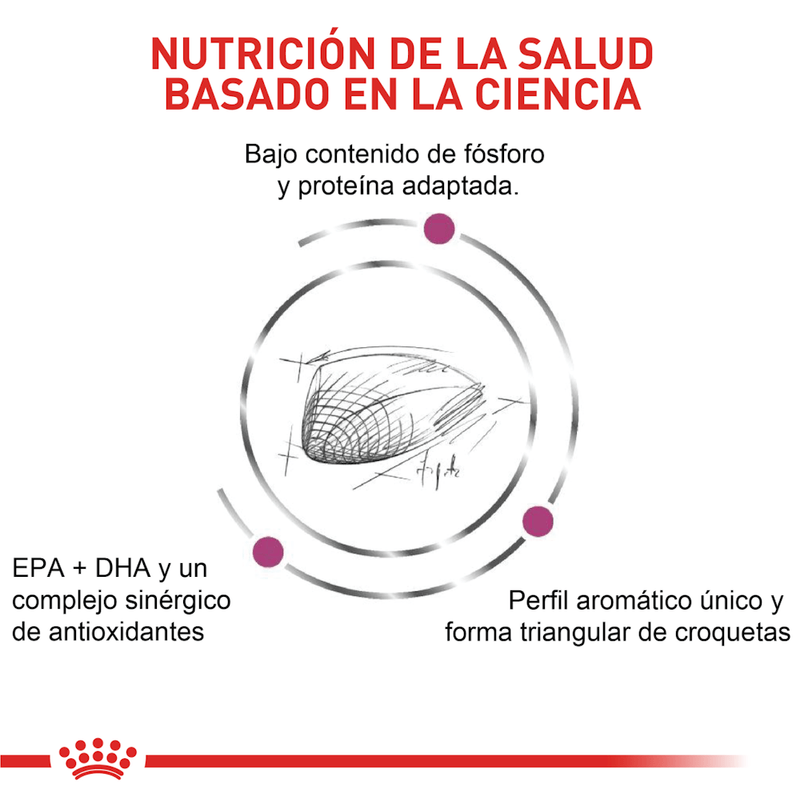 Nutricion-basada-en-la-ciencia-con-Renal-Special-para-gatos-con-problemas-renales