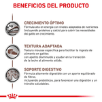 Beneficios-del-alimento-Gastro-Kitten-en-lata-para-gatitos-con-problemas-digestivos