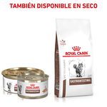 Combinacion-saludable-y-equilibrada-de-nutrientes-con-Gastrointestinal-High-Energy-para-gatos-con-problemas-digestivos