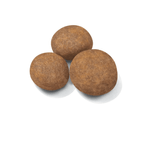 Croquetas-del-alimento-Maxi-Puppy-para-cachorros-de-raza-grande