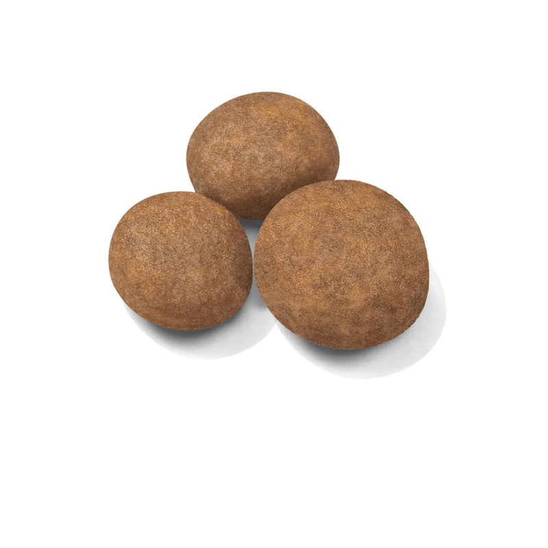 Croquetas-del-alimento-Maxi-Puppy-para-cachorros-de-raza-grande