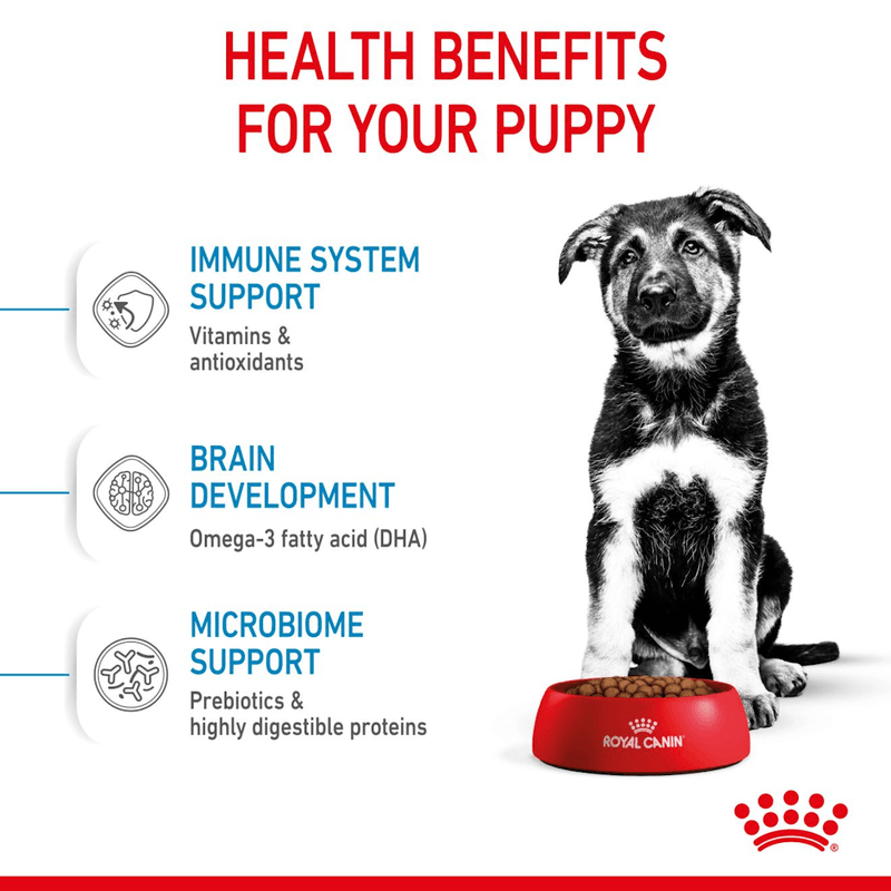Beneficios-del-alimento-Maxi-Puppy-para-cachorros-de-raza-grande