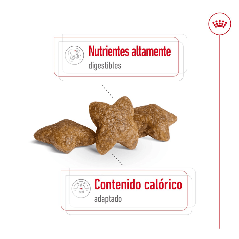 croqueta