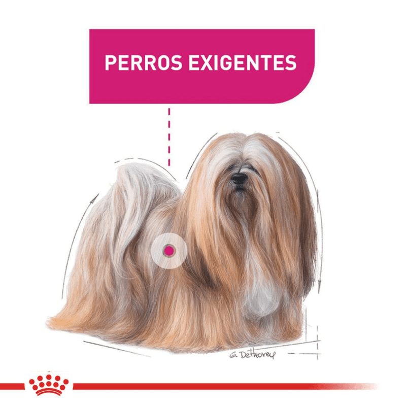 perro