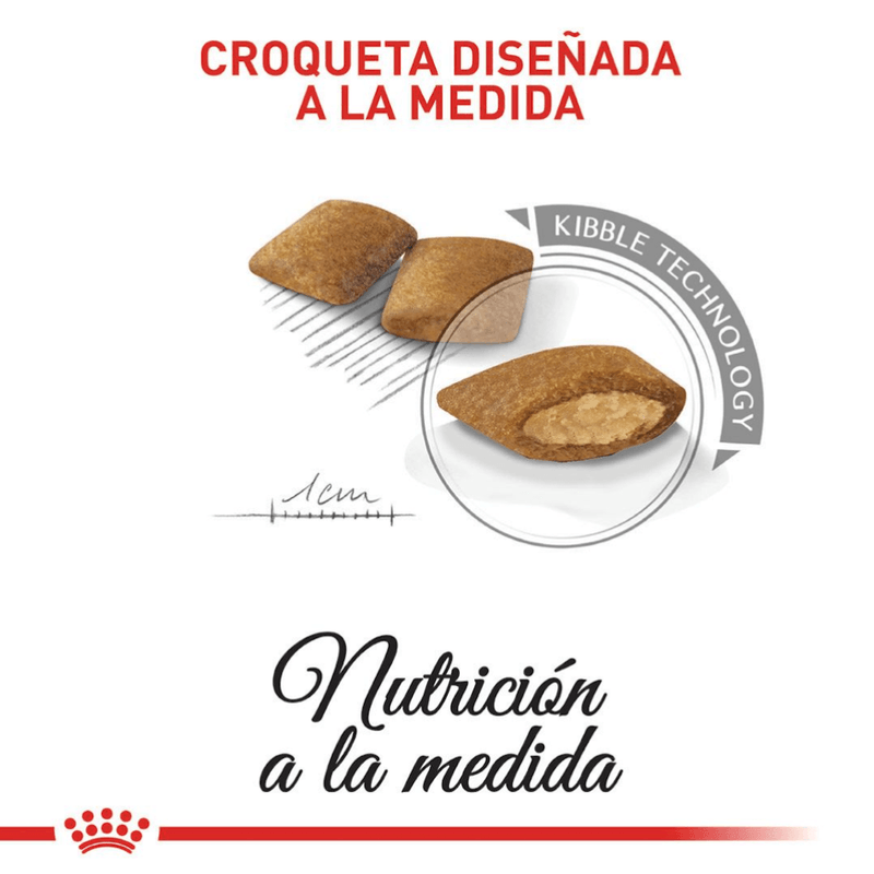 croqueta