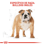 Alimento Para Perro Royal Canin Breed Health Nutrition Bulldog Adulto-1753802953593