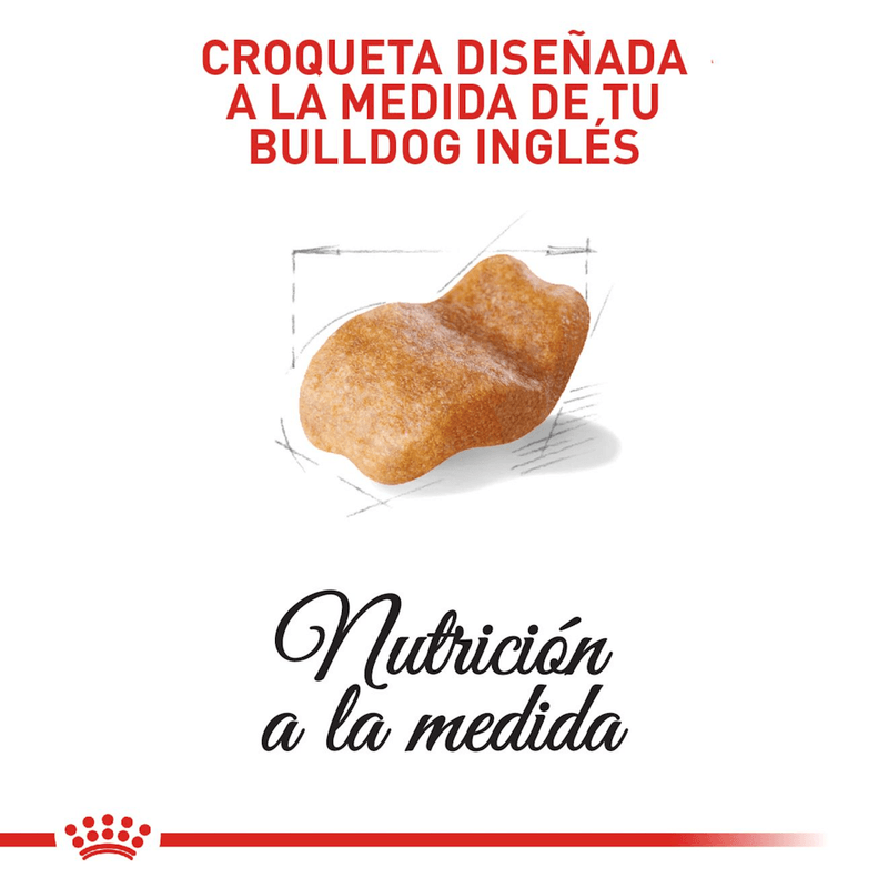 Alimento Para Perro Royal Canin Breed Health Nutrition Bulldog Adulto-1753802964023