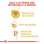 Alimento Para Perro Royal Canin Breed Health Nutrition Bulldog Adulto-1753802975004