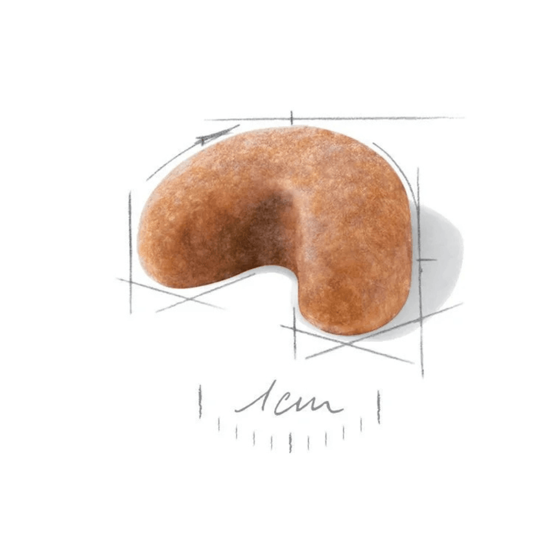 croqueta