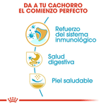 Alimento-para-un-comienzo-perfecto-en-cachorros-de-Bulldog-Frances