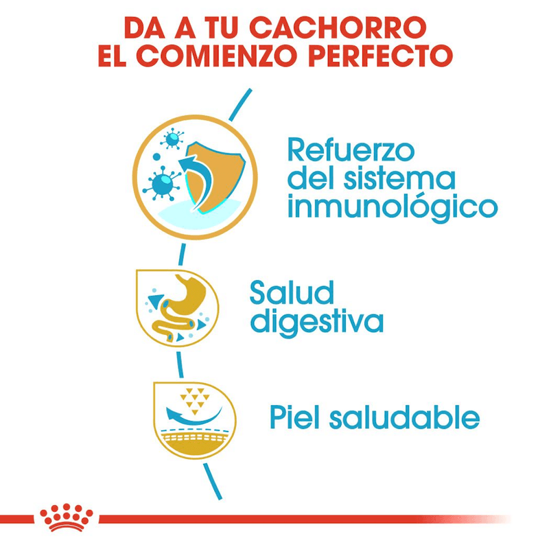 comienzo