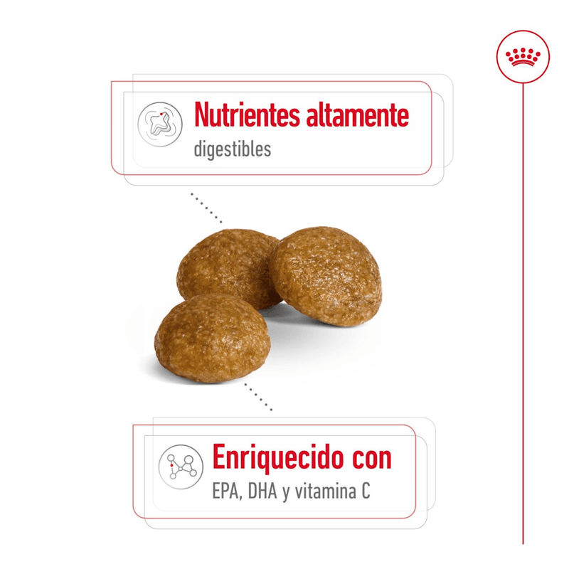 croqueta
