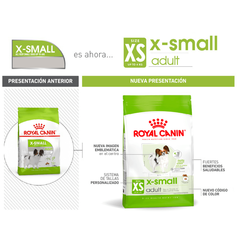presentacion