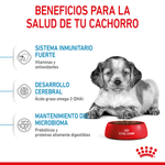 Alimento Para Perro Royal Canin Size Health Nutrition Medium Puppy-1754068805253