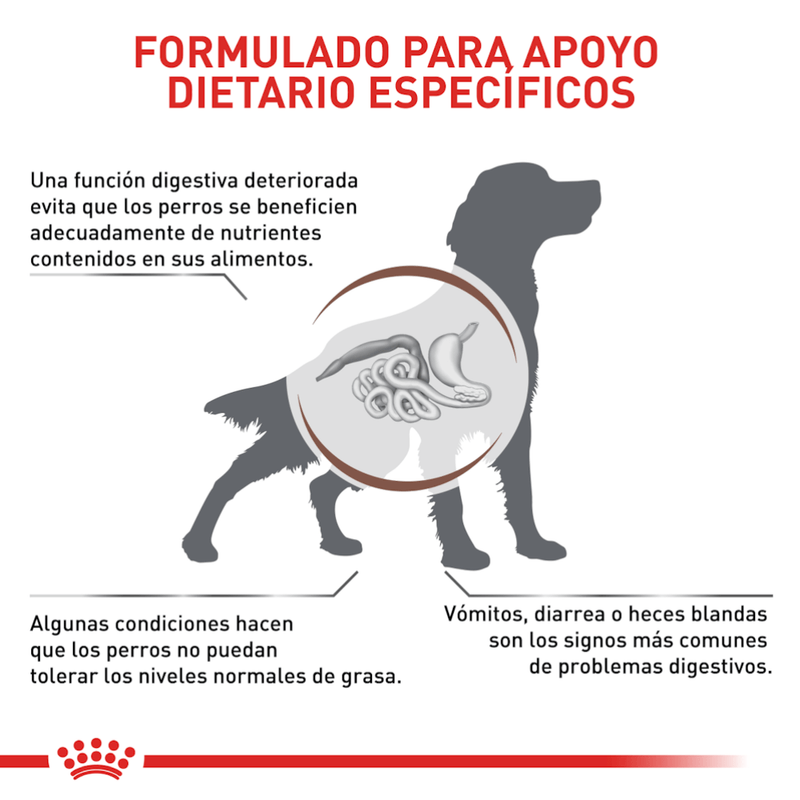 Formula-especifica-con-Gastrointestinal-Low-Fat-Dog-para-perros-con-problemas-digestivos-y-control-de-peso