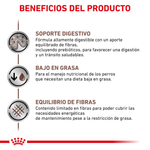 Beneficios-del-alimento-Gastrointestinal-Low-Fat-Dog-para-perros-con-problemas-digestivos-y-control-de-peso