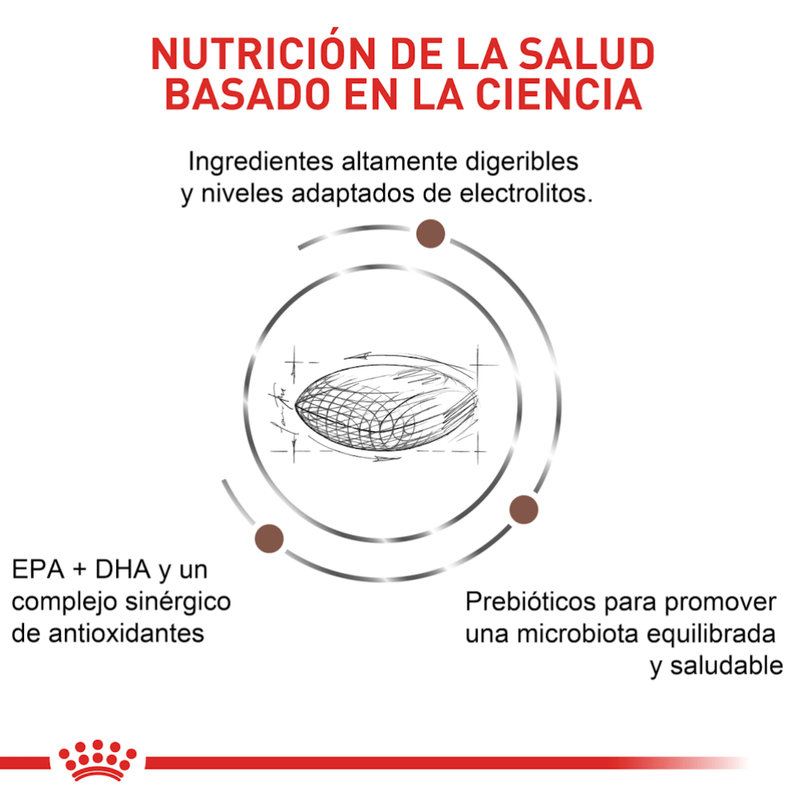 Nutricion-basada-en-la-ciencia-con-Gastrointestinal-Low-Fat-Dog-para-perros-con-problemas-digestivos-y-control-de-peso