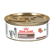 Alimento Para Perro y Gato Lata Royal Canin Vhn Recovery Wet