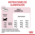 Alimento Para Gatitos Royal Canin Feline FHN Kitten Sterilised-1755275908830