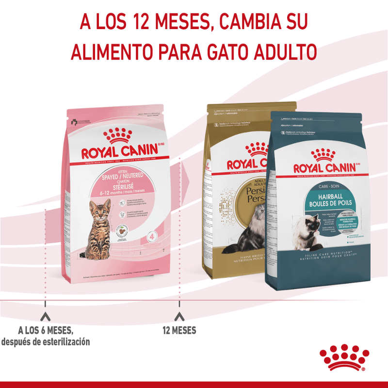 Alimento Para Gatitos Royal Canin Feline FHN Kitten Sterilised-1755275925278