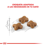 Alimento Para Gatitos Royal Canin Kitten FHN-1755278967714