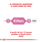 Alimento Para Gatitos Royal Canin Kitten FHN-1755278992726