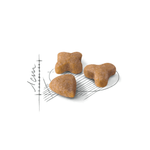 Alimento Para Gatos Adultos Royal Canin Fhn Sensible-1755288846358