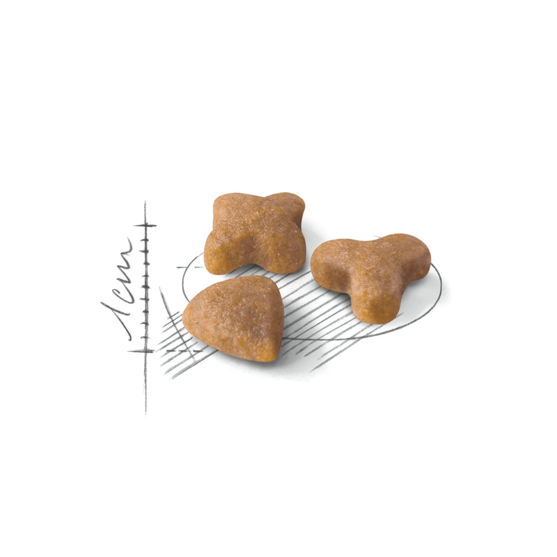 Alimento Para Gatos Adultos Royal Canin Fhn Sensible-1755288846358