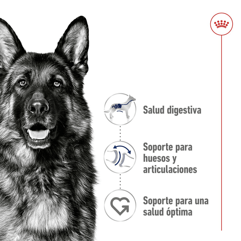 nutricion